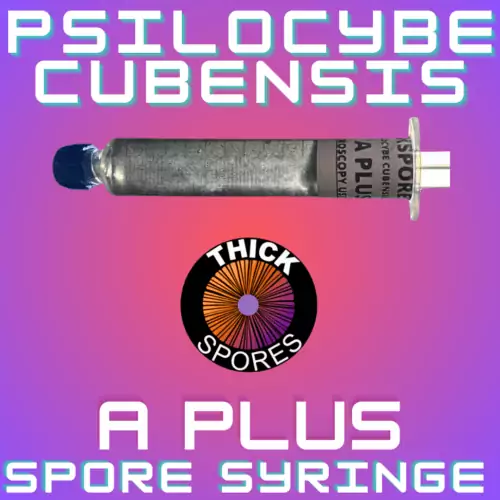 A Plus Spore Syringe