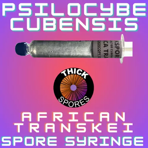 African Transkei Spore Syringe