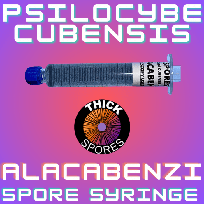 Alacabenzi Spore Syringe