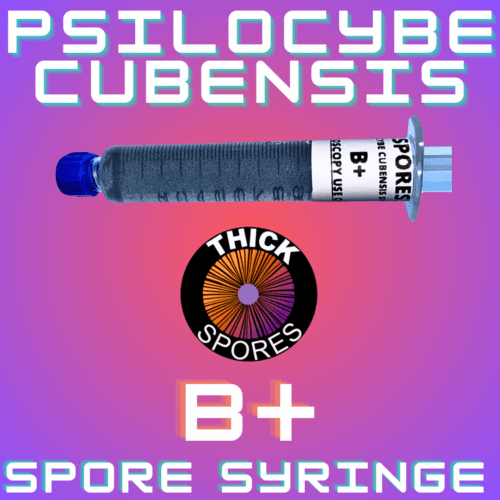 B Plus Spore Syringe