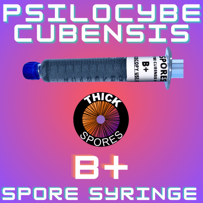 B Plus Spores For Sale - B Plus Spore Syringe