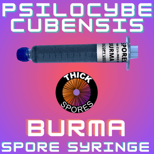 Burm Spore Syringe