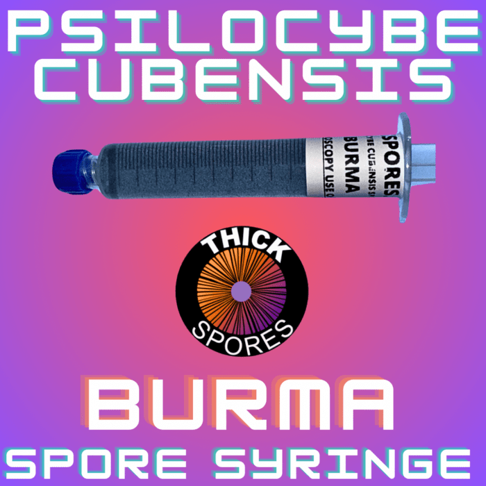 Burm Spore Syringe