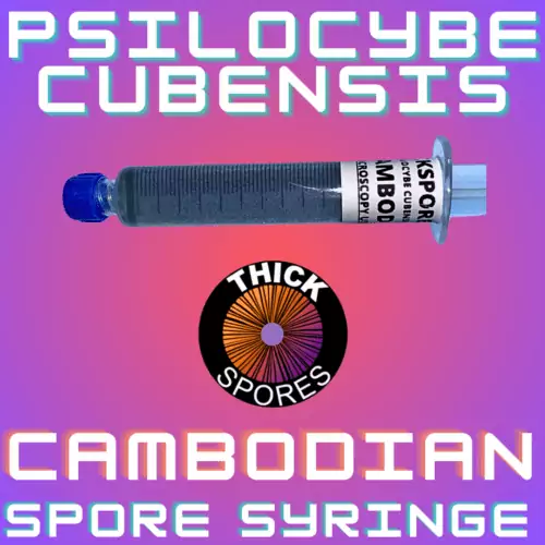 Cambodian Spore Syringge