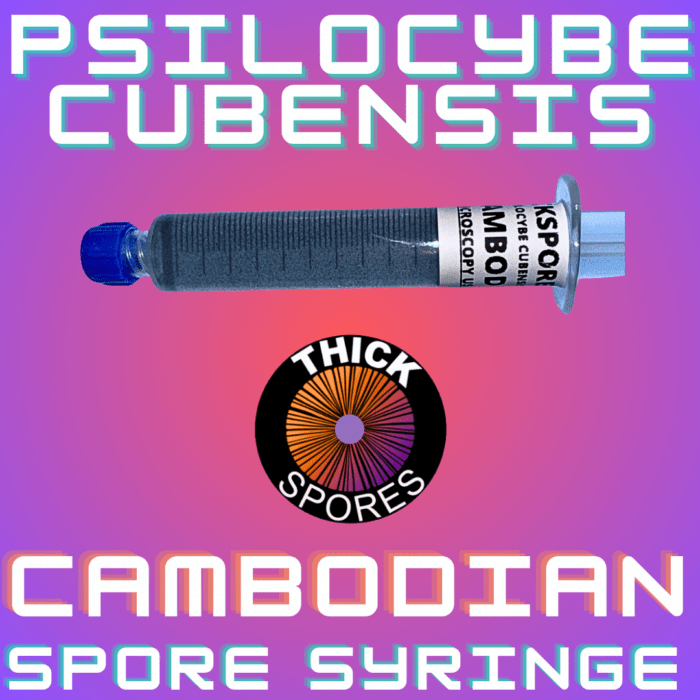 Cambodian Spore Syringge