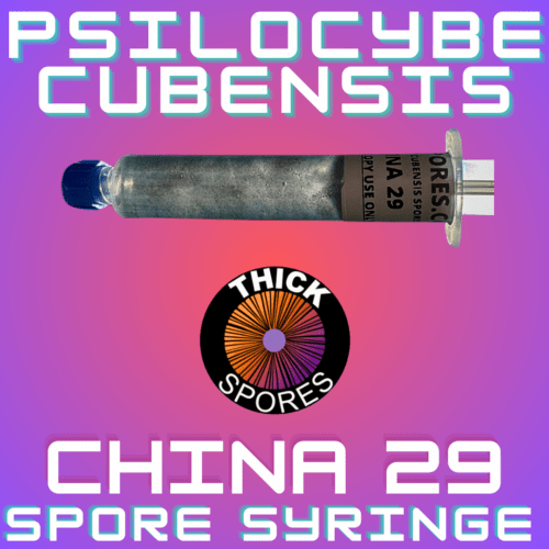 China 29 Spore Syringe