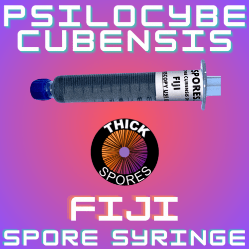 Fiji Spore Syringe