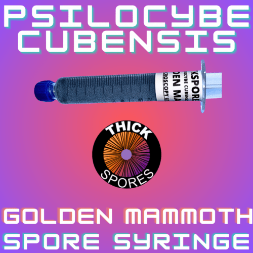 Golden Mammoth Spore Syringe