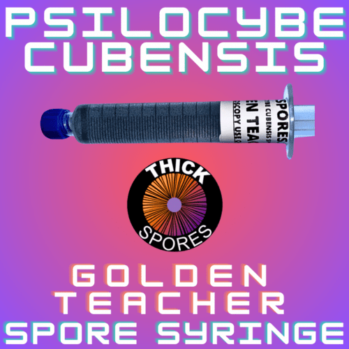 Golden Teacher Spore Syringe