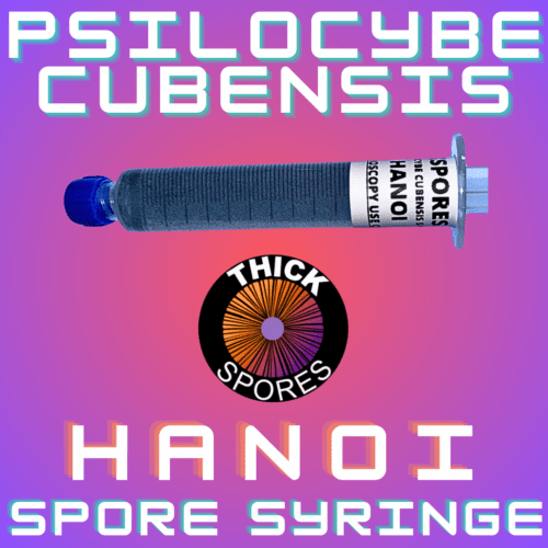 Hanoi Spore Syringe