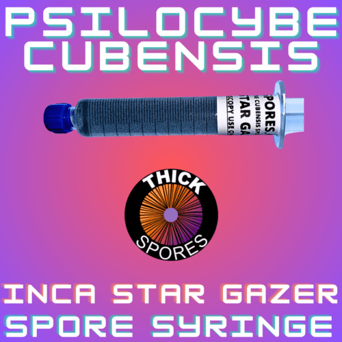 Inca Star Gazer Spore Syringe
