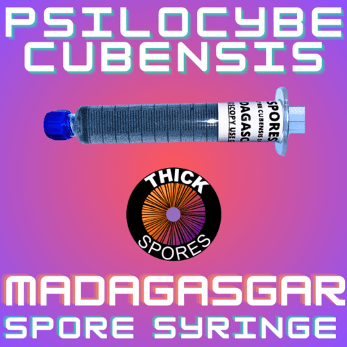 Madagasgar Spore Syringe