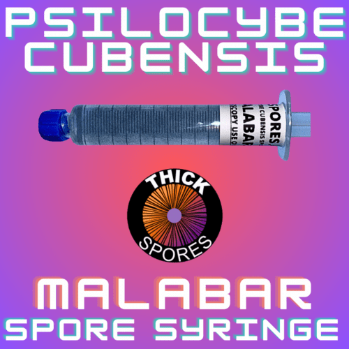 Malabar Spore Syringe