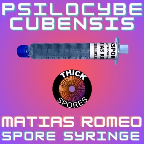 Matias Romeo Spore Syringe