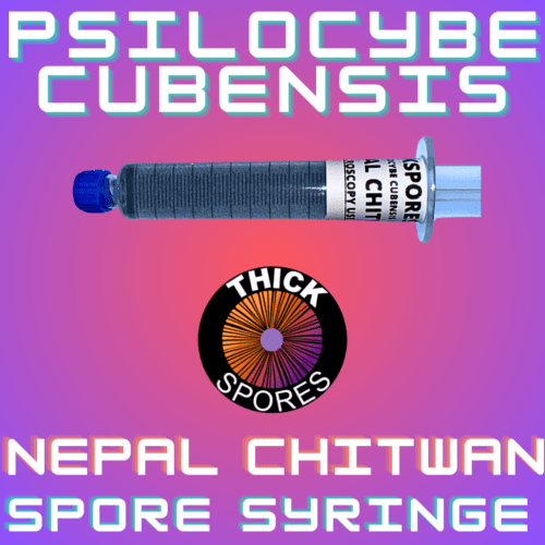 Nepal Chitwan Spore Syinge