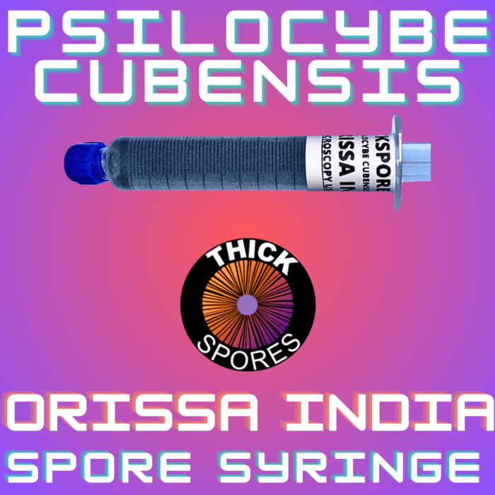 Orissa India Spore Syringe