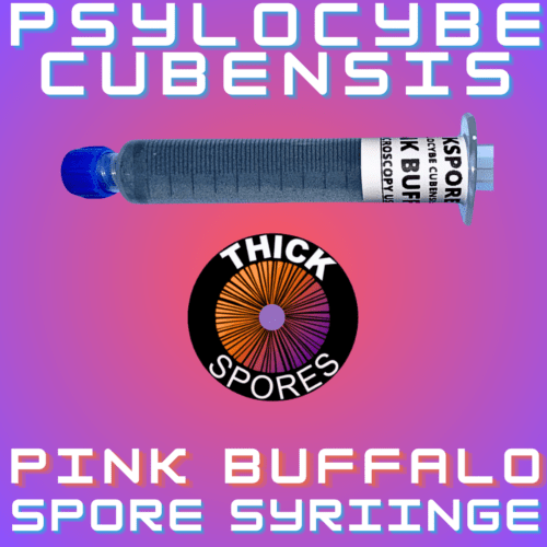 Pink Buffalo Spore Syringe