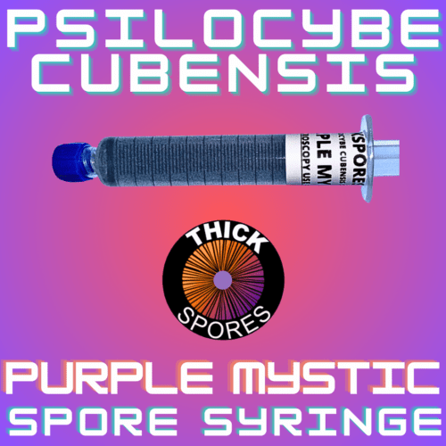 Purple Mystic Spore Syringe