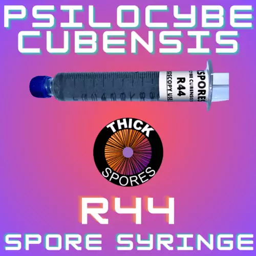 R44 Spore Syringe