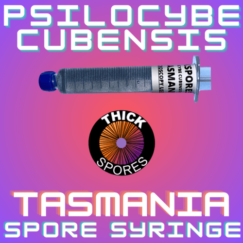 Tasmania Spore Syringe