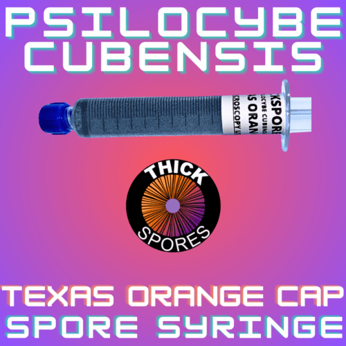 Texas Orange Cap Spore Syringe