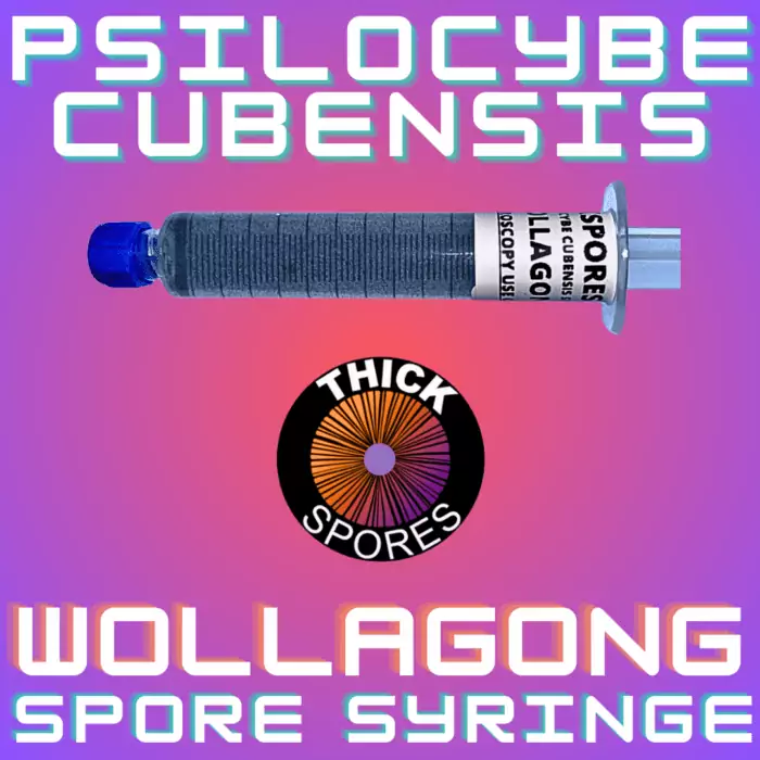 Wollagong Spore