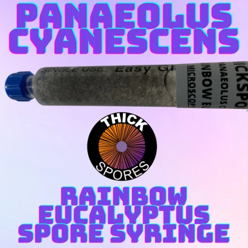 panaeolus rainbow eucalyptus spore syringe