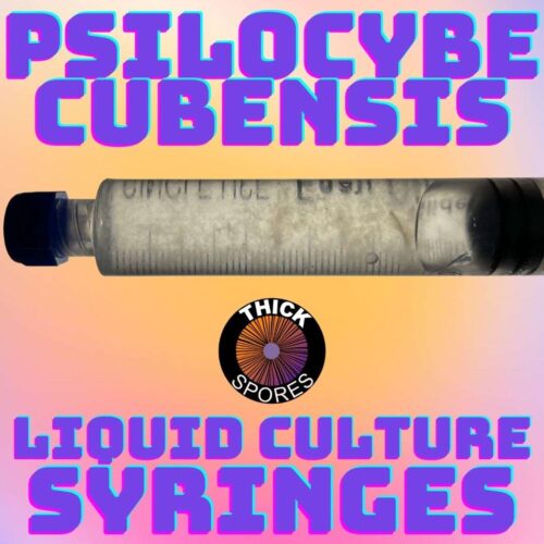 Psilocybe Cubensis Liquid Culture Syringes