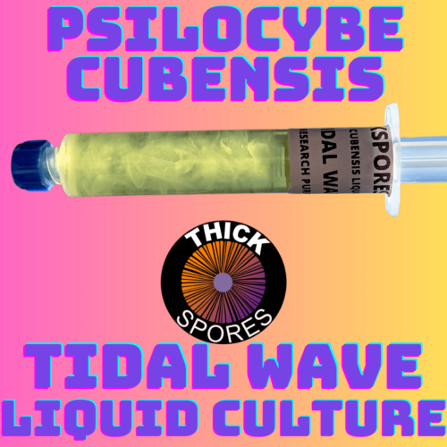 Tidal Wave Liquid Culture Syringe