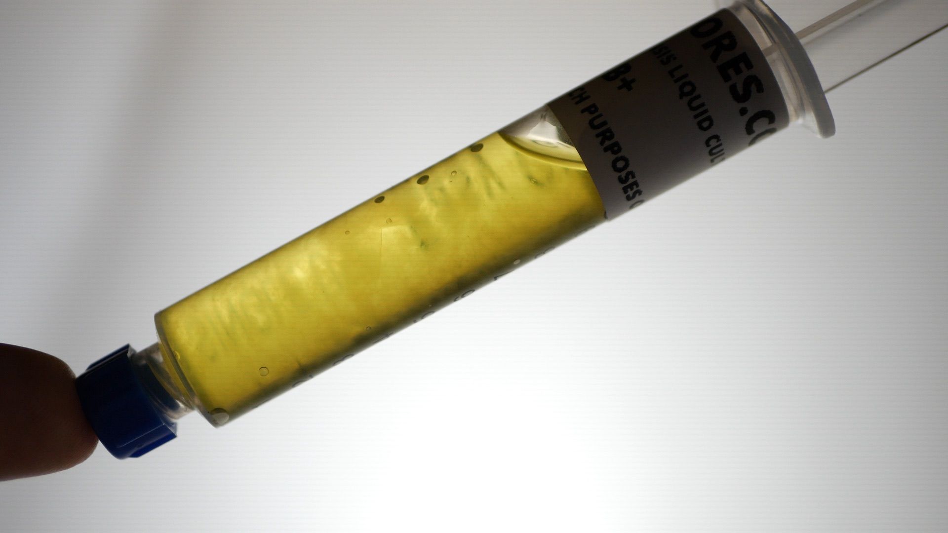 B+ mushroom liquid culture syringe video thumbnail