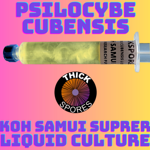 Koh Samui Super Liquid Culture Syringe