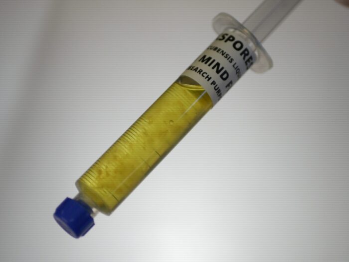 Jedi Mind Fuck Mushroom Liquid Culture syringe (side shot)