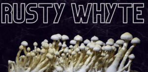 Rusty Whyte Mushrooms