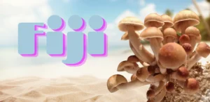 fiji mushrooms