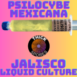 Jalisco Liquid Culture Syringe