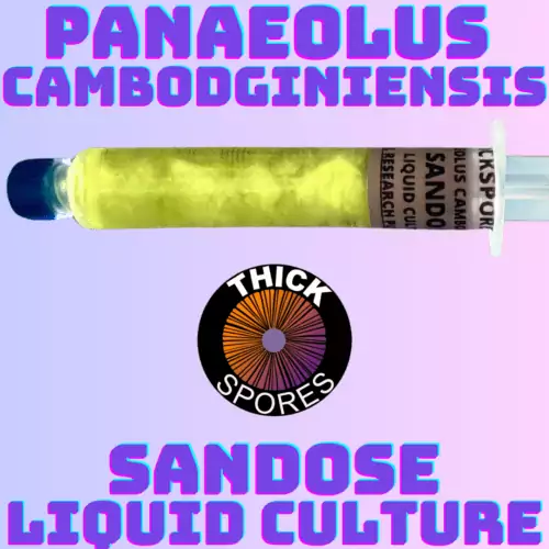 Sandose Liquid Culture Syringe