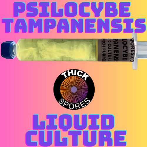 Tampanensis Liquid Culture Syringe
