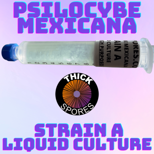 psilocybe mexicana strain a liquid culture syringe