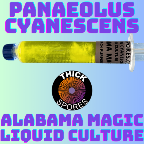 Alabama Magic Liquid Culture Syringe