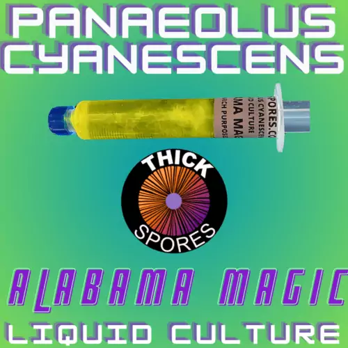 Alabama Magic Liquid Culture Syringe