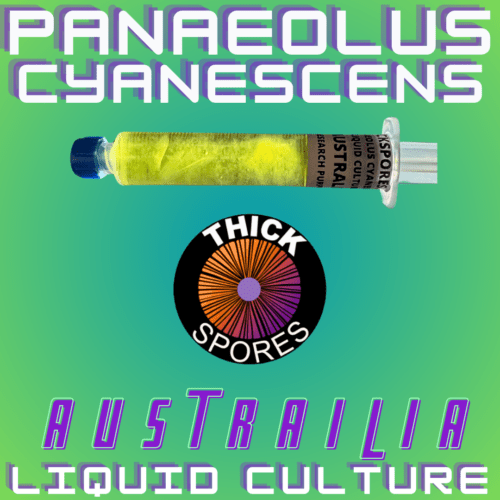 Australia Liquid Culture Syringe