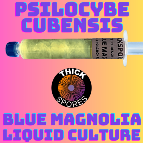 Blue Magnolia Liquid Culture Syringe