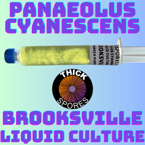Brooksville Liquid Culture Syringe