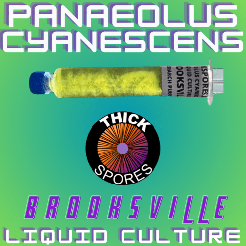 Brooksville Liquid Culture Syringe
