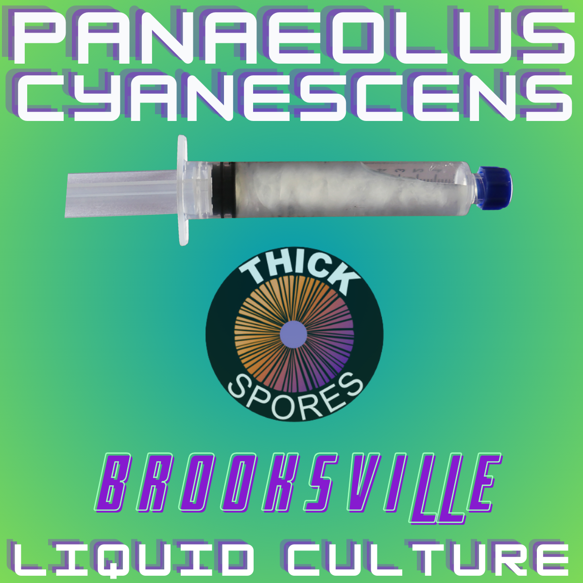 Panaeolus Cyanescens Brooksville Liquid Culture Syringe • Thick Spores