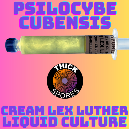Cream Lex Luther Liquid Culture Syringe