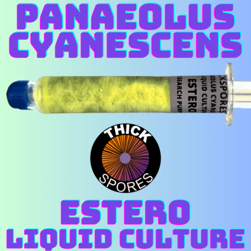 Estero Liquid Culture Syringe