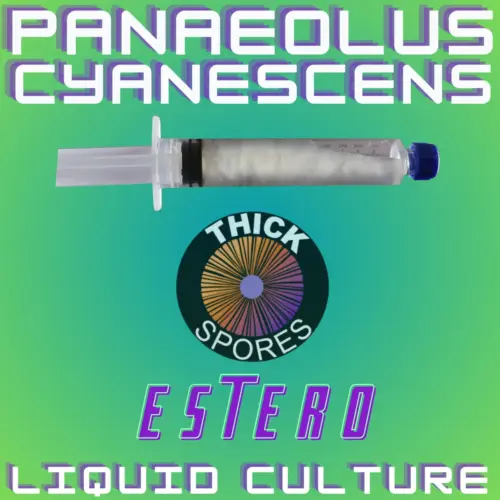 Panaeolus Cyanescens Estero Liquid Culture 10cc