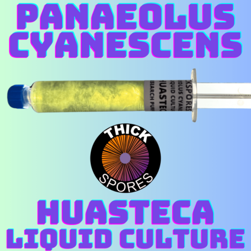 Huasteca Liquid Culture Syringe