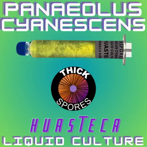Huasteca Liquid Culture Syringe